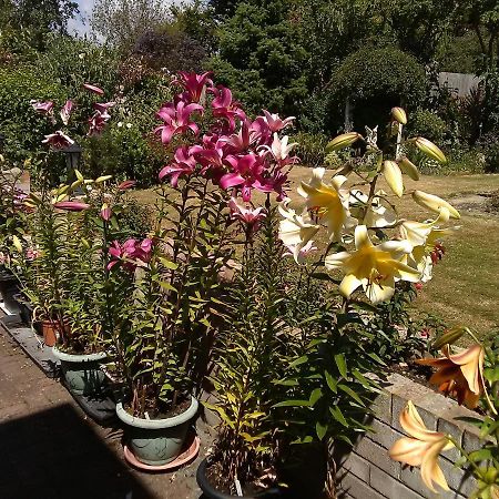 Cherry Garden B&B Folkestone Exterior photo